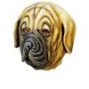 Boxer Hunde Maske Aus Latex -Cosplay Verkäufe boxer hunde maske aus latex latex hundemaske lustige tiermasken zum verkleiden 8801984