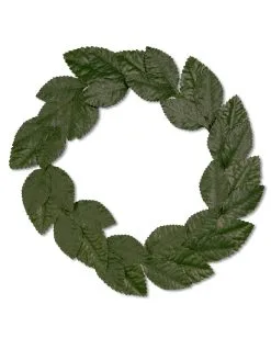 Grüner Lorbeerkranz Kopfschmuck