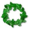 Lorbeerkranz Kopfschmuck