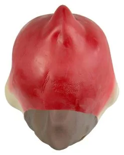 Papagei Maske Polly -Cosplay Verkäufe papagei maske polly comic vogel maske papagei verkleidung kostuemzubehoer 17741 3