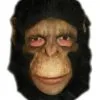 Schimpansen Maske 2 Schimpansen Maske -Cosplay Verkäufe schimpansen maske mit kunsthaar chimp mask affen maske tiermaske 21528 01