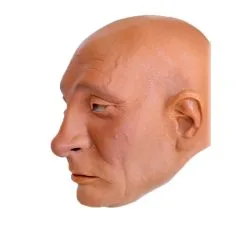 Kremlchef Putin Schaumlatex Maske -Cosplay Verkäufe vladimir putin schaumlatex maske president putin foamlatex mask politiker maske 50346 04